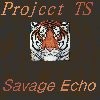 Picture for song 'Savage Echo' by artist 'Project TS'