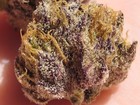 Picture for song 'GANJA(screwed)' by artist 'Que Beats'