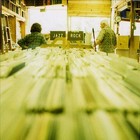 Picture for song 'Gaither's Alley' by artist 'RADIO-LAB'