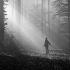 Picture for song 'Here Comes the White Light' by artist 'RADIO-LAB'