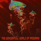 Picture for song 'HOME N DRY' by artist 'RADIORAY'