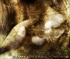 Picture for song 'Comfortably Numb Instrumental' by artist 'raghuram solo'