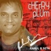 Picture for song 'Cherry Plum' by artist 'Rahul B Seth'