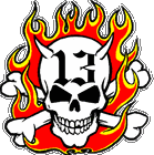 Picture for song 'PAARDJE HOP' by artist 'Ras Skull'