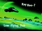 Picture for song 'Ray Hoo-Low Flying Dub.mp3' by artist 'Ray Hoo'