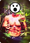 Picture for song 'triple beam dreams - Real Trap Music' by artist 'Real Beatz Inc.'