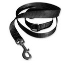 Picture for song 'Invisible Leash' by artist 'Renny Ren'