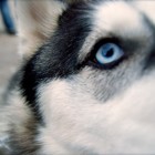 Picture for song 'Know Me' by artist 'Richele Kuhlmann'