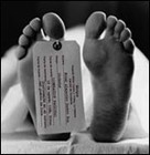 Picture for song 'Toe Taggin' by artist 'RNS The Producer'