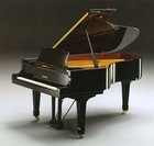 Picture for song 'for a rosefield upon destruction' by artist 'Roger mc'