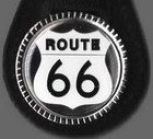 Picture for song 'It's A Hurting World' by artist 'Route 66 Music'