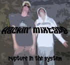 Picture for song 'Summertime ft.Flam-A-Bull' by artist 'Rupture In The System'