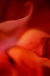 Picture for song 'Rouge' by artist 'Russ Nixon'