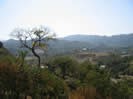 Picture for song 'High on Gringo Hill' by artist 'Sagacious Hag'