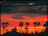 Picture for song 'Calido' by artist 'Sara Summers Pickett'