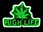 Picture for song 'High Life' by artist 'scooppabeatz'