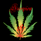 Picture for song 'anti racisme (demo)' by artist 'Scorpion Records (NL)'