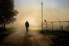 Picture for song '*NEW* No Goodbyes' by artist 'Screwaholic'