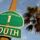 Picture for song 'Palm Trees **FREE DOWNLOAD**' by artist 'SGTGS Beats'