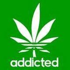 Picture for song 'Sunny Dayz' by artist 'Shadowz Of Faith'