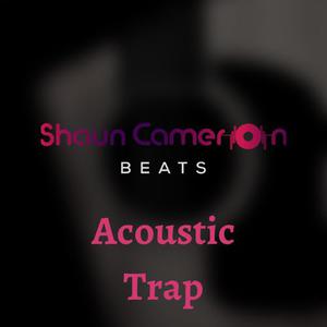 Picture for song 'Not Over - Acoustic Trap Beat' by artist 'ShaunCameron Beats'