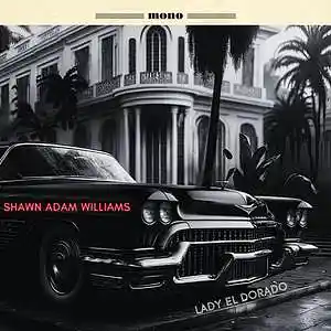 Picture for song 'Lady El Dorado' by artist 'Shawn Adam Williams'