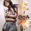 Picture for song 'Everlasting' by artist 'Shia'