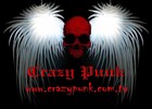 Picture for song 'Crazy !' by artist 'Shiverone'