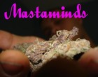 Picture for song 'potentbeats1+listen' by artist 'SHIZZY1'