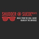 Picture for song 'BOTTOM SHELF- 101' by artist 'Shudder At Suede Beats'