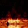 Picture for song 'Dreamwhile' by artist 'Simon Freedman'