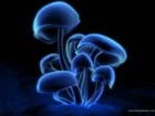 Picture for song 'ZZ' by artist 'SKAVENGER'