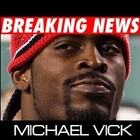 Picture for song 'Michael Vick (Hip-Hop Beat/808 Banger)' by artist 'Slam Hammy'