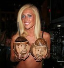 Picture for song 'Going CoconutsFREE' by artist 'SnapNutt'