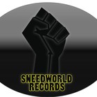 Picture for song 'NEVER-STOP' by artist 'SneedWorld Records'