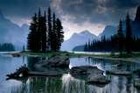 Picture for song '' Fridenzia '' by artist 'SoLow Poetry'