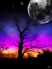 Picture for song 'Fantasy' by artist 'sound of music productions'