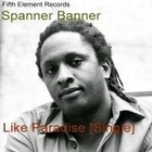 Picture for song 'TEASE ME' by artist 'SPANNER BANNER'