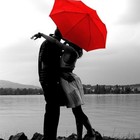 Picture for song 'SEE HER' by artist 'Spitlove'