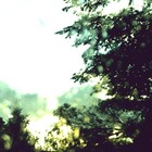 Picture for song 'Michelle G. - Old Poetry' by artist 'Spord Music'