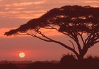 Picture for song 'ukushona kwelanga' by artist 'Squeez'