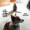 Picture for song 'The Loophole (remix)' by artist 'St. Alia of the Knife'