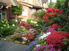 Picture for song 'NO LOVELIER GARDEN' by artist 'Stan Loh'