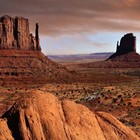 Picture for song 'COUNTRY N WESTERN' by artist 'STEVE VICIOUS'