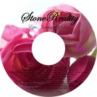 Picture for song 'Last Supper' by artist 'StoneReality'