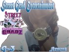 Picture for song 'Been Gettin Money' by artist 'Street Gradz'