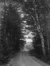 Picture for song 'Dirt Road ft Blitzer' by artist 'STRICK9'