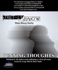 Picture for song 'penning thoughts' by artist 'STRICT-LY SHADOW'