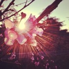 Picture for song '**New** NobodysPerfect (Prod by @StunnaMFBaby813)' by artist 'StunnaOnDaTrack'