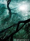 Picture for song 'Subradial - Bioloophorm Part 2 (excerpt)' by artist 'Subradial'